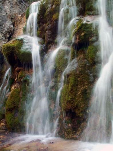 Cazorla-alcon *